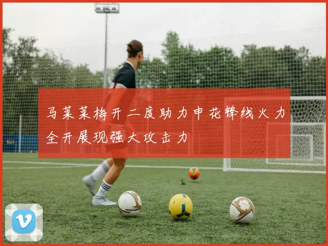 马莱莱梅开二度助力申花锋线火力全开展现强大攻击力